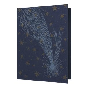 The Comet Greeting Card